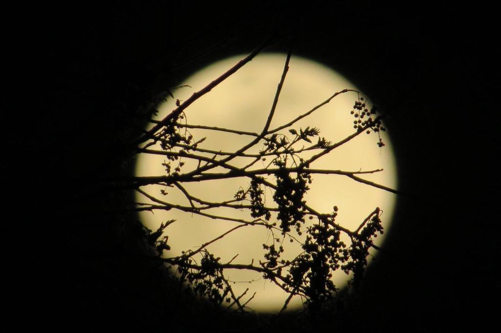 Pousada Luna Zen Pirenópolis Exterior foto